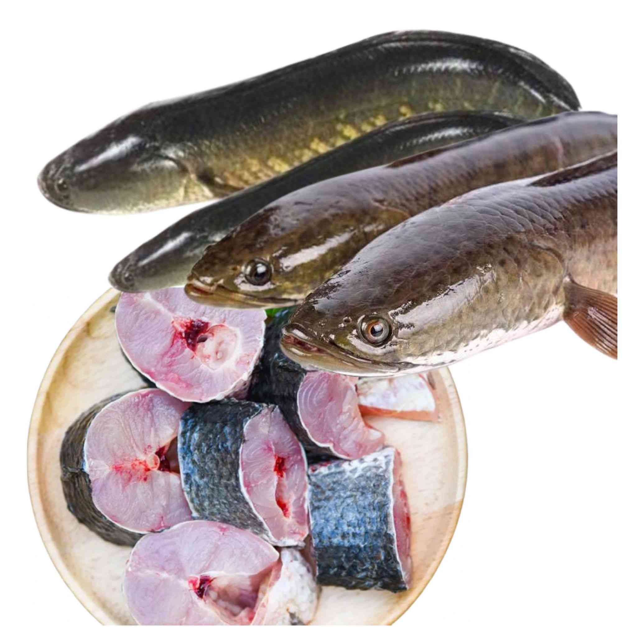 Murrel Fish (/kg)
